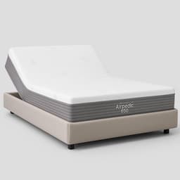 Airpedic 650 Queen Mattress